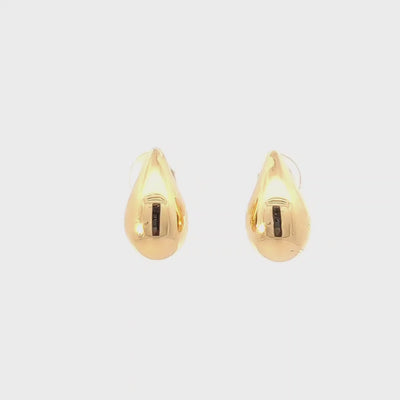 18K Yellow Earrings